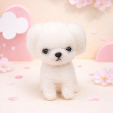 아트조이 DIY 양모펠트 세트, 1개, 패키니즈