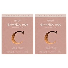 안국건강 메가 비타민C 1000 115g, 100정, 2개