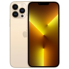 Apple 아이폰 13 Pro Max 자급제, 골드, 1024GB