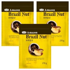 리치팜너트 브라질넛, 270g, 3개
