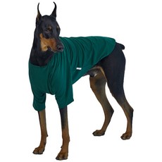 LuckyPetter 狗狗小型犬大型犬素色T恤, 綠色, 1個