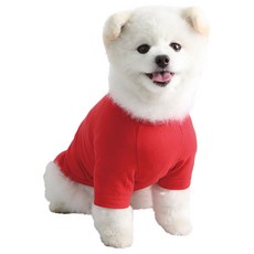 LuckyPetter 狗狗素色T恤, 紅色, 1個