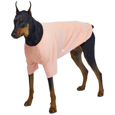 lucky petter 狗狗 小型犬 大型犬 素色 T恤, 蜜桃色, 1個