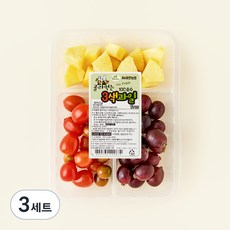 All바른농장 골라먹는 3색과일 파인애플 + 포도 + 자달토마토, 3세트