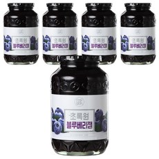 CHOLOCWON 藍莓果醬, 1kg, 5罐
