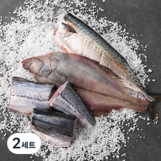 부산 13번 중매인 생물 소금간 삼치 + 가자미 + 고등어 구이용 2번 세트, 850g, 2세트
