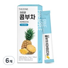 더존건강 더조은 콤부차 파인애플, 5g, 10개입, 6개