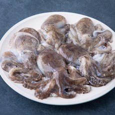 어부심 서해안 산지직송 자연산 햇 알배기 주꾸미 (냉장), 1kg, 1개