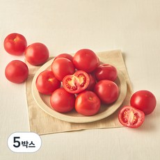 친환경 인증 토마토, 3kg, 5박스