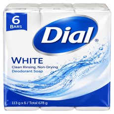 Dial 豐富泡沫亮白淨味香皂, 113g, 6個