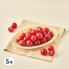 흙살림 친환경 인증 방울토마토, 600g, 5개