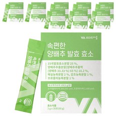 Vitamin Village 高麗菜萃取酵素粉隨身包 30條入, 60g, 9盒