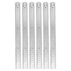 Youngbayoung 不鏽鋼半永久雙面直尺 30cm, 銀色, 6個