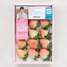 올프레쉬 GAP 인증 화이트 딸기, 410g, 1개