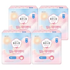 좋은느낌 입는 데이팬티 생리대, 대형, 8개입, 4개