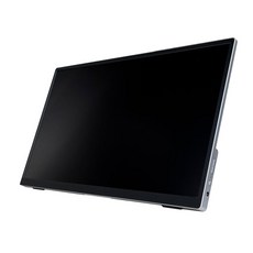 WInTEn IPS 超薄廣視角可攜式觸控螢幕 1個, WT-156AT-BK, 15.6吋