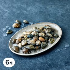국내산 산지직송 참바지락 (냉장), 6개, 1kg