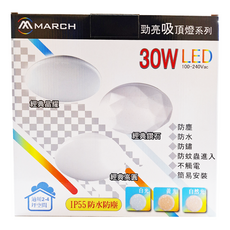 MARCH 30W LED 勁亮吸頂燈系列 經典晶耀 GLD-S30DASR1, 防塵防水防蚊蠅, 簡易安裝, 白光