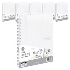 ECO Chungwoon 彩色片彈簧文件夾 30頁 A4, 透明, 6個