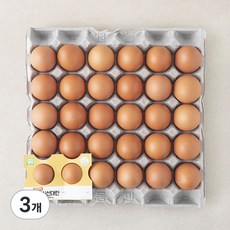 농협 무항생제 인증 신선 대란 1.56kg, 3개, 30구