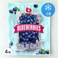 베리벨리 칠레산 냉동 블루베리, 1.5kg, 4개