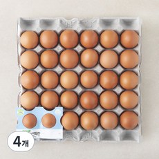 농협 신선 특란 1800g, 30구, 4개