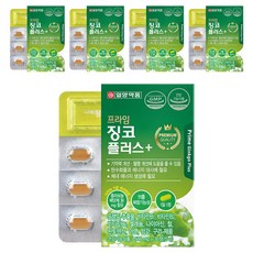 일양약품 프라임 징코 플러스, 30정, 5개