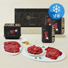 만블링 1++등급 한우 종합 선물세트 2호 (냉동), 1세트