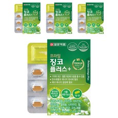 일양약품 프라임 징코 플러스, 30정, 4개