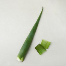 알로에 1개, 1봉