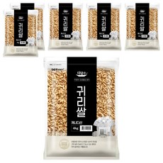 더담은 캐나다산 귀리쌀, 4kg, 6개
