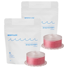 퓨어썸 비타 샤워기 리필필터, 2개, 플라워가든향