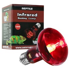 LUCKY HERP 紅外線 UVA 爬蟲類曬背聚光燈 100W, 混合顏色, 1個