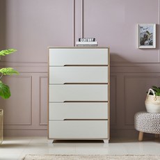 장인가구 국내 제조 하임 서랍장 방문설치, 화이트, 5단