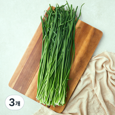 국내산 양평 부추, 300g, 3개