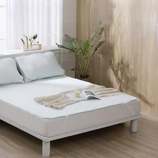 lamina天絲天使絨冬夏保潔墊枕用兩入, 1入, 白色