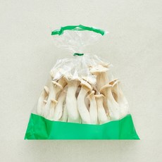 친환경 머쉬멜로버섯, 1개, 500g