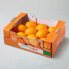 당도선별 천혜향, 3KG(10~14입), 1박스