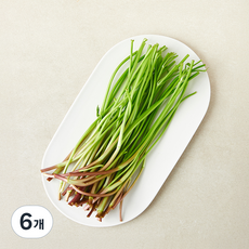 줄기만 있는 청도 미나리, 6개, 100g