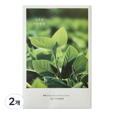 Modern House 感性午後綠茶小憩茶包, 13g, 2個, 綠茶