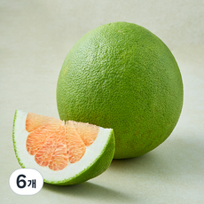 온브릭스 포멜로 자몽, 6개, 1kg