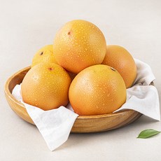 곰곰 자몽, 1.5kg, 1개