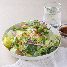 곰곰 비건인증 아삭한 프레시 채소믹스, 500g, 1개, 500g