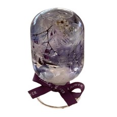 植物標本水晶球浮游花夜燈組 - 籐夢紫 16.4Hcm