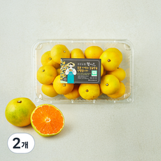 중문농협 탐나는 귤, 2개, 1.4kg(로열과)
