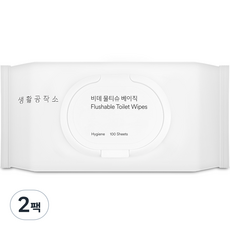 생활공작소 베이직 비데 물티슈 캡형, 100매입, 2개