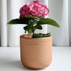 ENVIE CASA 圓形陶土花盆, 1個, 桃色