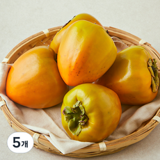 제이드가든 후숙해서 먹는 대봉감, 5개, 1.8kg(대과, 5~6입)