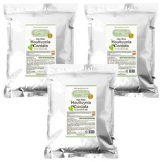 메디플라워 모델링팩 어성초 1kg, 1개입, 3개