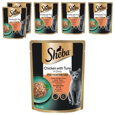 쉬바 1세 이상 고양이 간식 파우치, 닭+참치, 70g, 6개